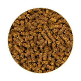 Detailansicht  St. Hippolyt Beta-Carotin-Mare-Y-Mix