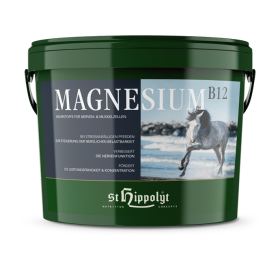 Ein Eimer St. Hippolyt Magnesium B12 2,5 kg