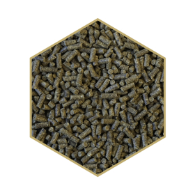 Detailansicht St. Hippolyt WES Power Crunch