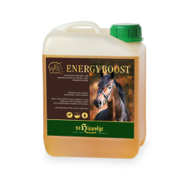 Kanister St. Hippolyt WES Energy Boost