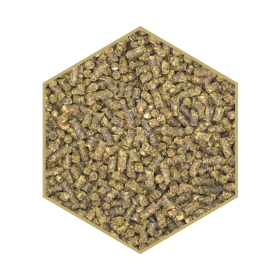 Detailansicht St. Hippolyt WES Power Crunch