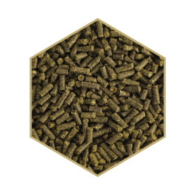 Detailansicht St. Hippolyt WES Sensitive Crunch