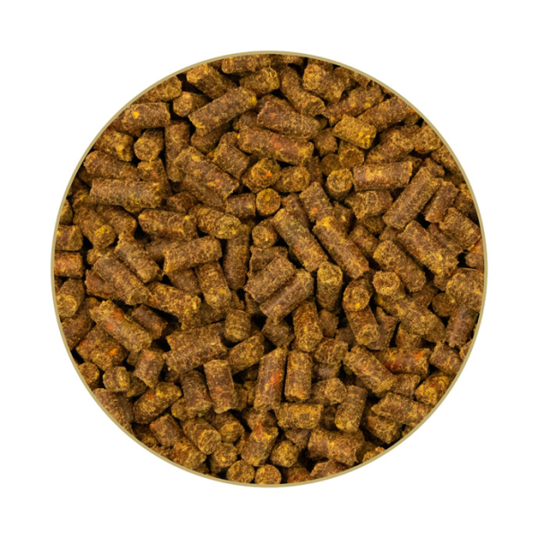 Detailansicht  St. Hippolyt Beta-Carotin-Mare-Y-Mix