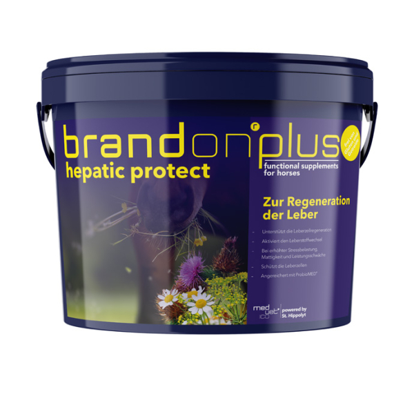 Ein Eimer  Brandon plus hepatic protect