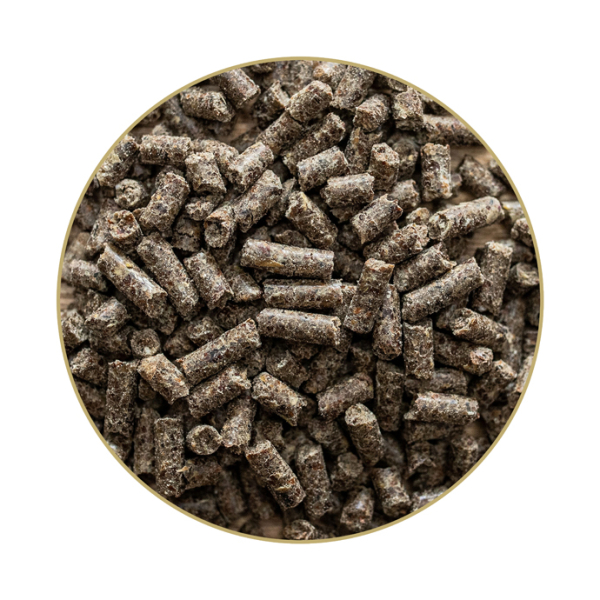 Detailansicht St. Hippolyt Hippomun forte 1 kg