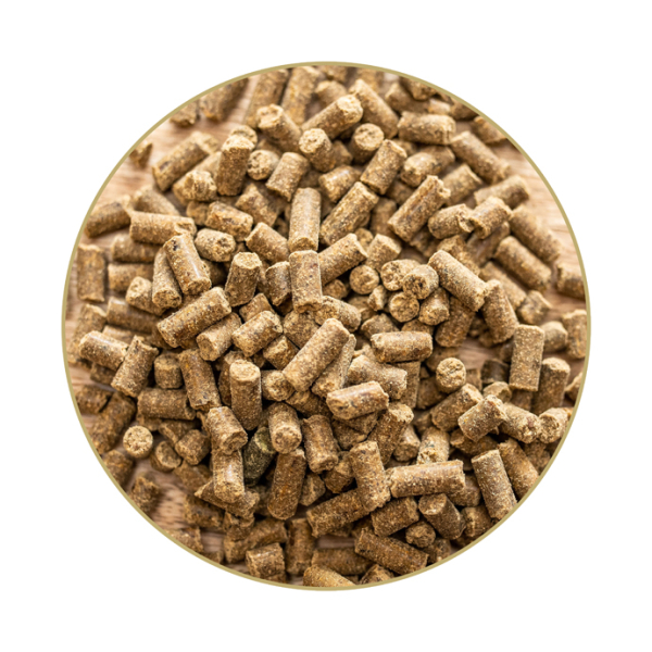 Detailansicht St. Hippolyt Magnesium B12 2,5 kg