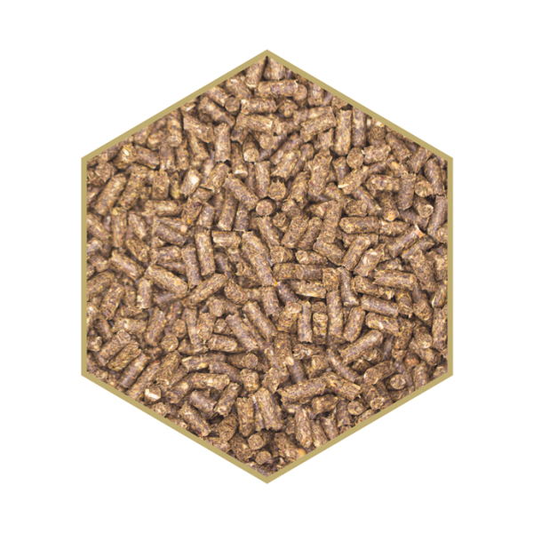 Detailansicht St. Hippolyt WES Basic Crunch