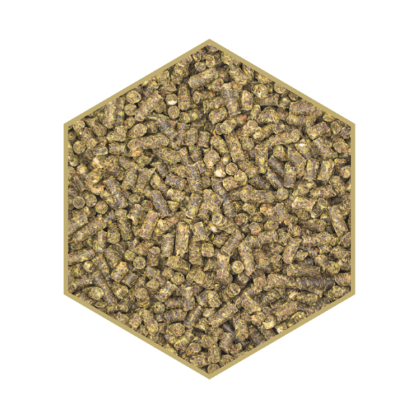 Detailansicht St. Hippolyt WES Power Crunch
