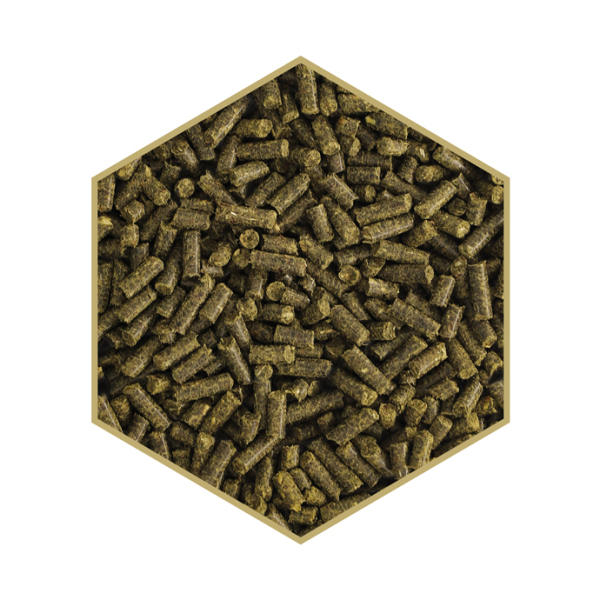 Detailansicht St. Hippolyt WES Sensitive Crunch