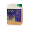 Ein Kanister  Brandon plus gastro balsam