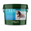 Ein Eimer  St. Hippolyt Lamin forte