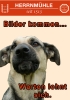 Caldor Puppy & Junior maxi  (Junior Large Breed)